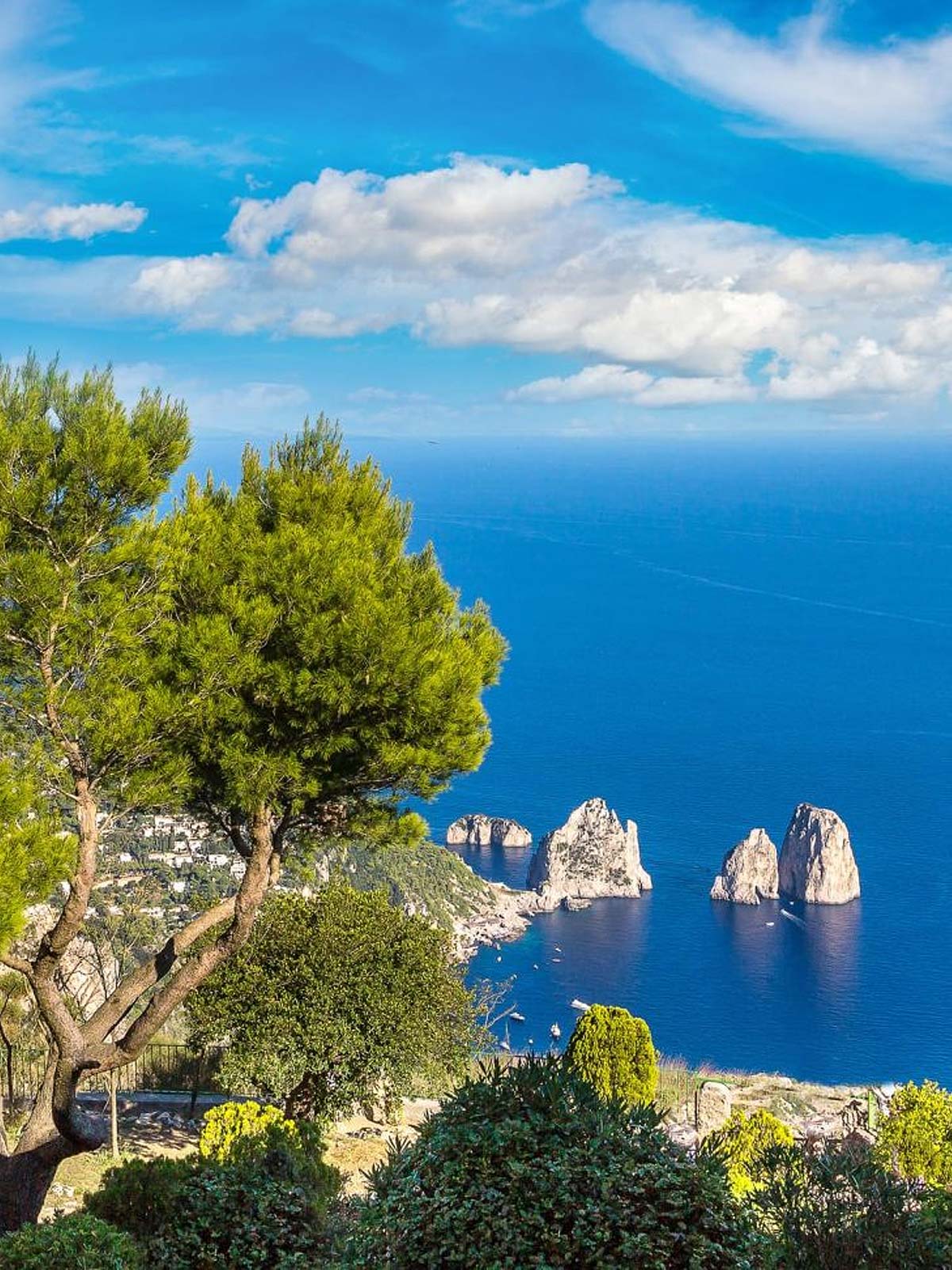 La natura che ammalia