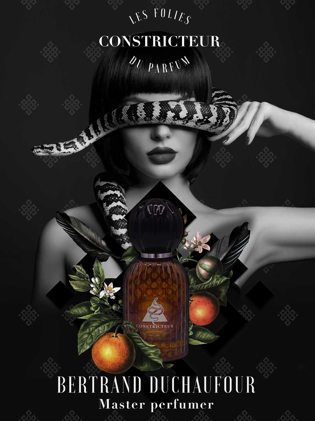 Cambia pelle elegantemente