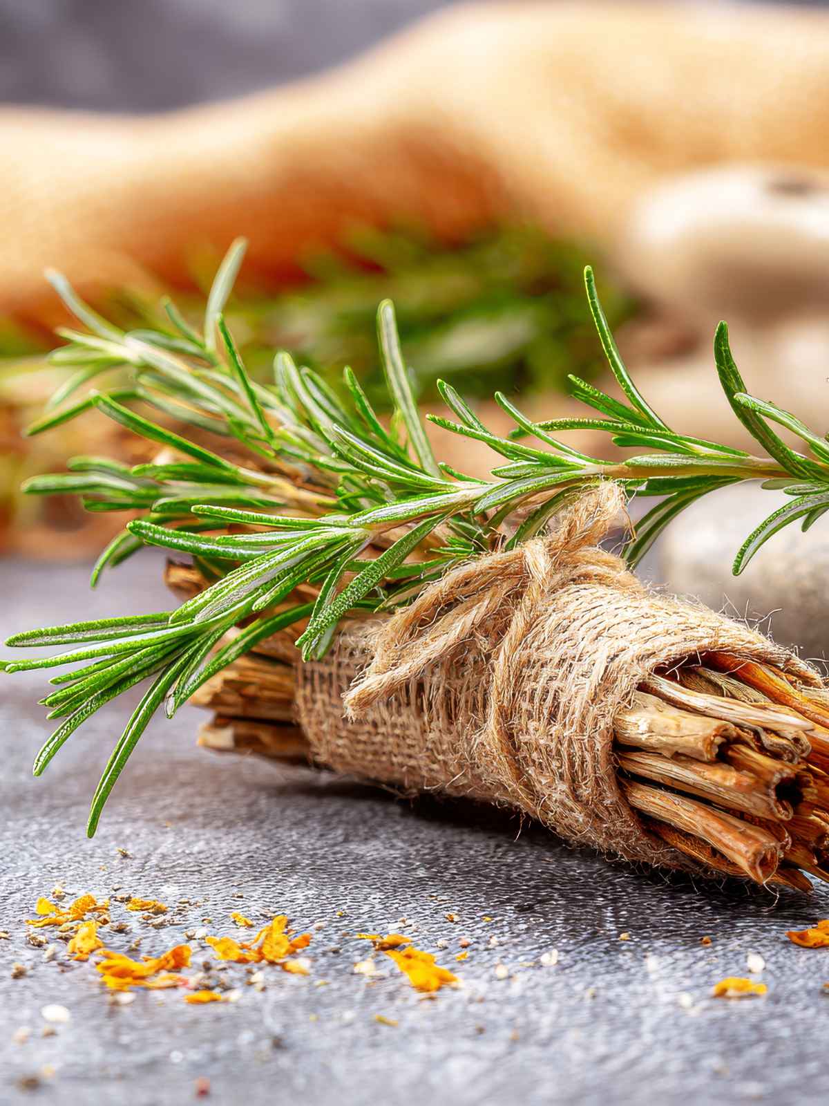 Oud pungente e Rosmarino amabile